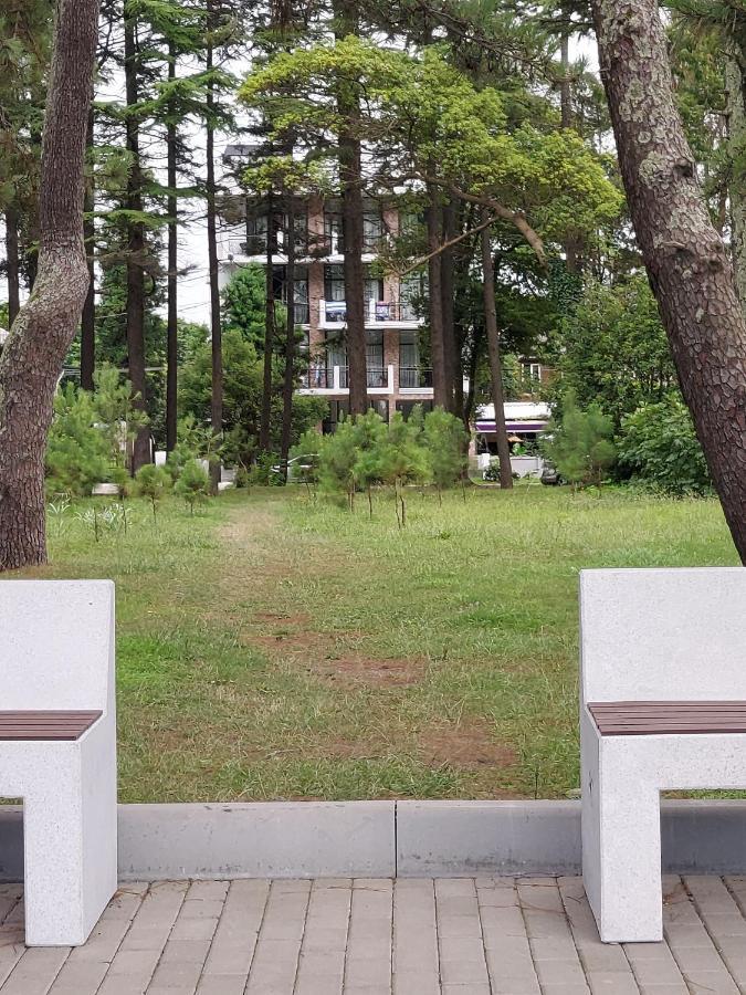 French Hotel Kobuleti Bagian luar foto
